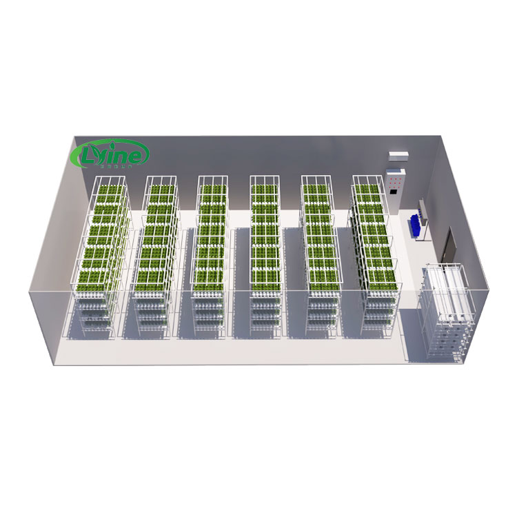 Agriculture Vertical Farming - 농업용 온실 상추 NFT 수경재배 시스템