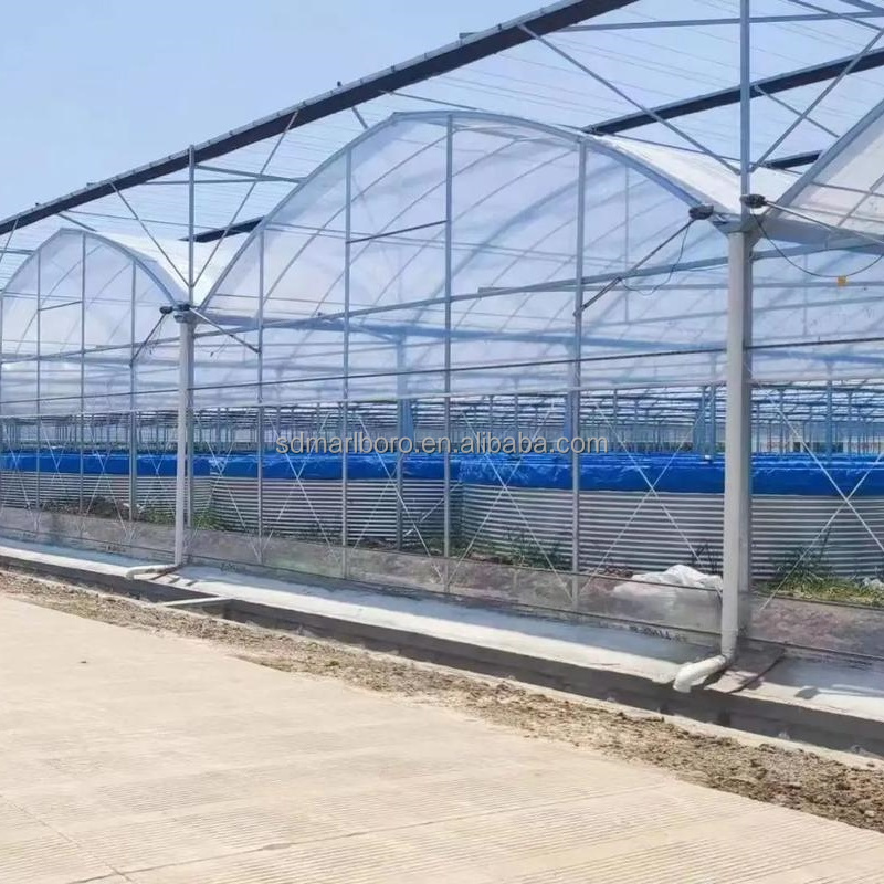 AIROW SDM 대형 플라스틱 어류 양식장 라이너 P - Farm Pond Liner 리뷰 및 가격