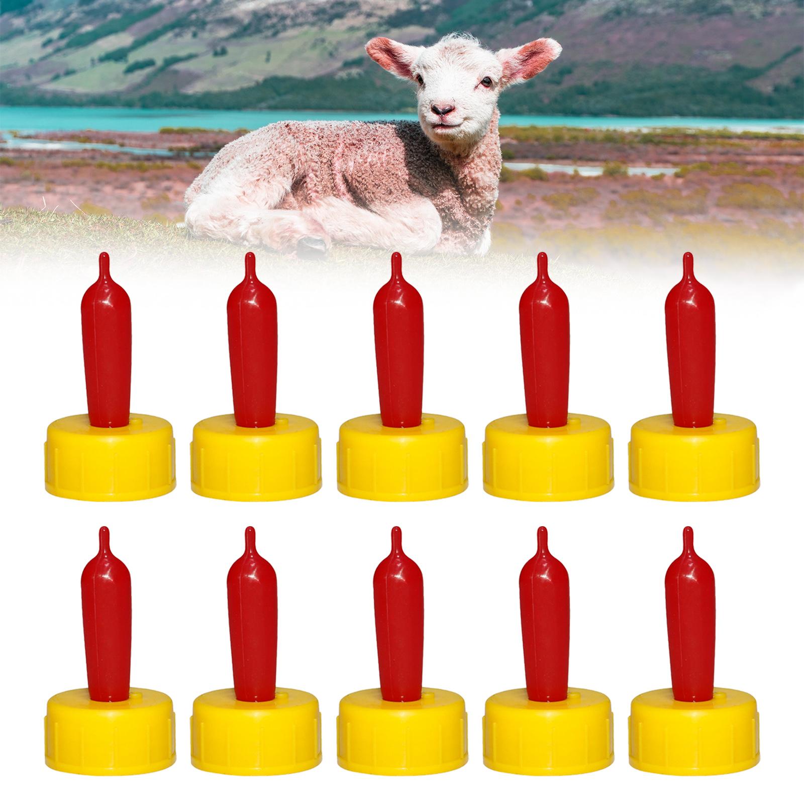 양, 염소, 송아지용 부드러운 고무 젖꼭지형 급수기,  - Agriculture Farming And Livestock 리뷰 및 가격