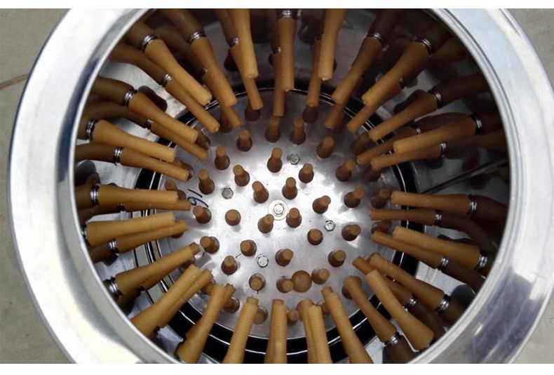 스테인리스 스틸 산업용 닭털 뽑는 기계 가금류 닭털 제 - Chicken Plucker Machine 리뷰 및 가격