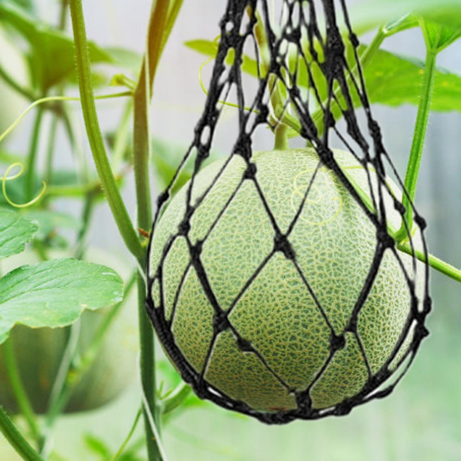 10개 수박망 정원 수직 걸이식 과일 채소 재배 보호망 - Agriculture Vertical Farming 리뷰 및 가격