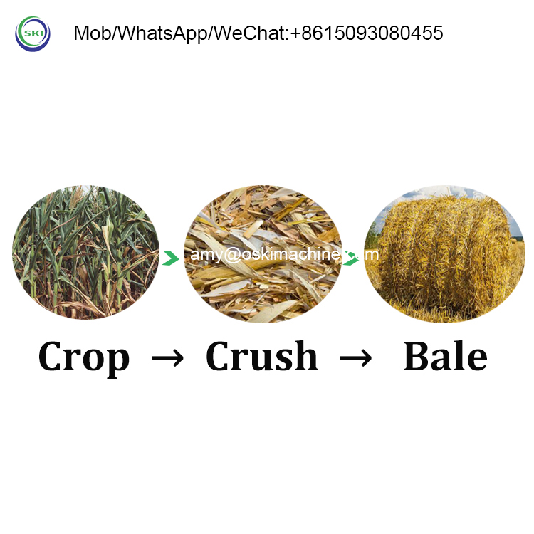 소 사료용 자동 사일리지 포장 번들러, 원형 베일러,  - Silage Baler Machine 리뷰 및 가격