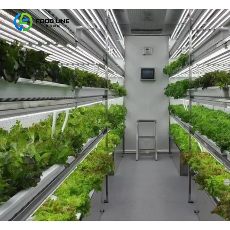 맞춤형 스마트팜 수직 NFT 수경재배 시스템 스틸 컨테 - Agriculture Vertical Farming 리뷰 및 가격