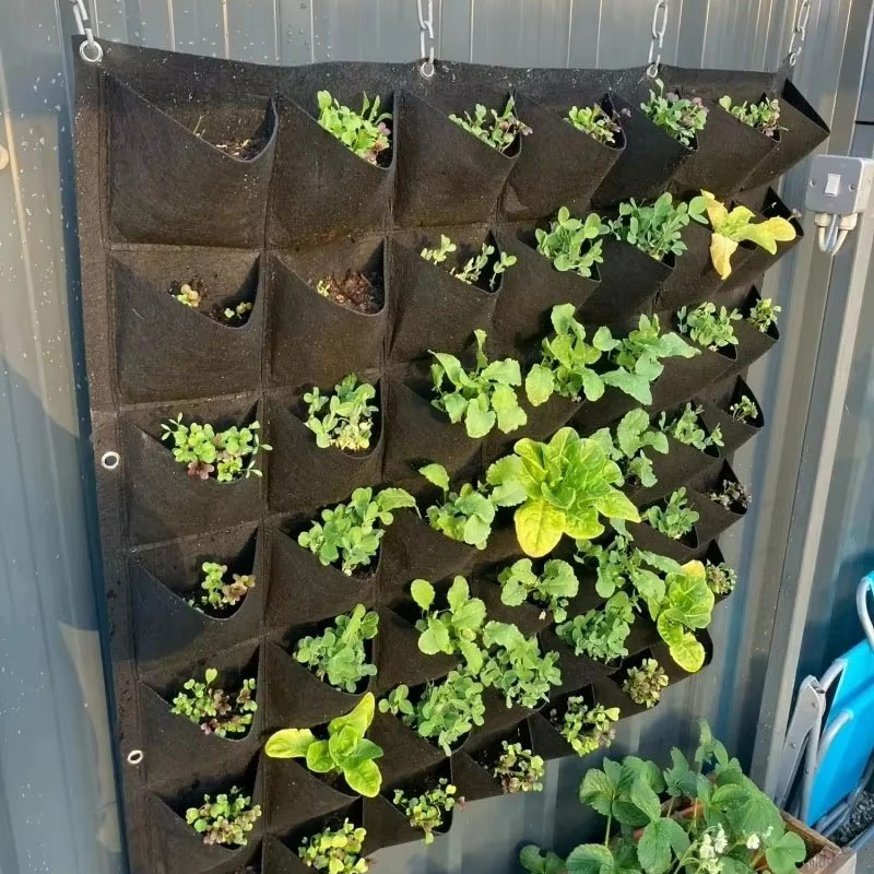다용도 포켓 그린 수직형 행잉 가든 플랜터 채소 과일  - Agriculture Vertical Farming 리뷰 및 가격