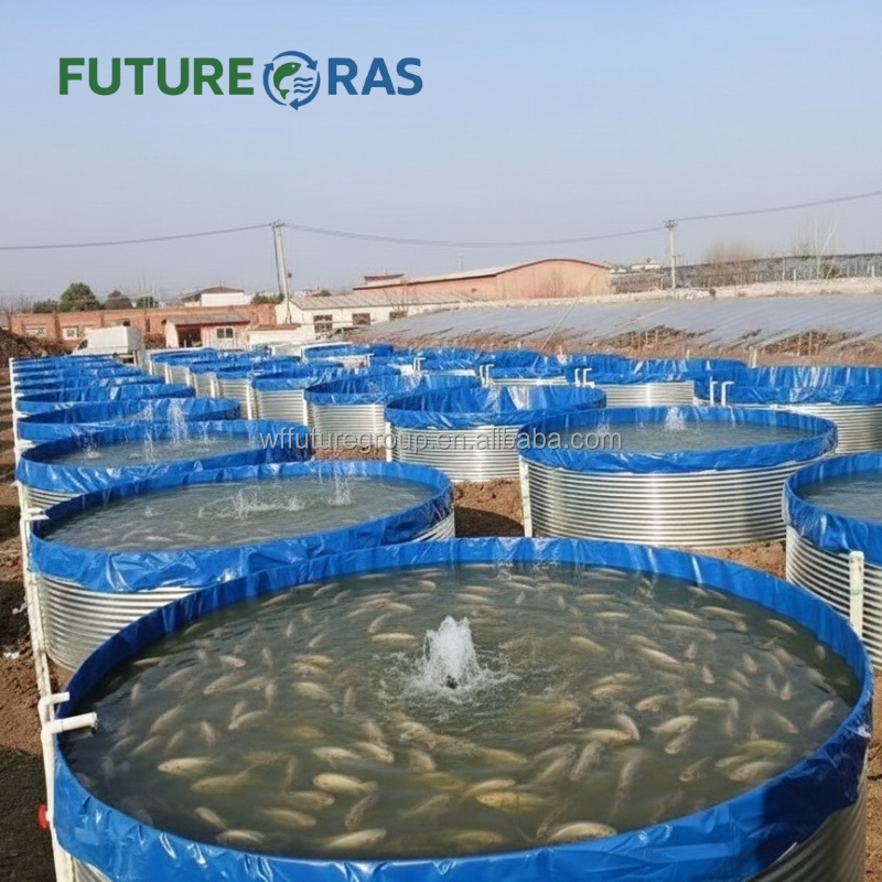 AIROW FUTURERAS 5*1.2m 상업용 PVC - Farm Pond Liner 리뷰 및 가격