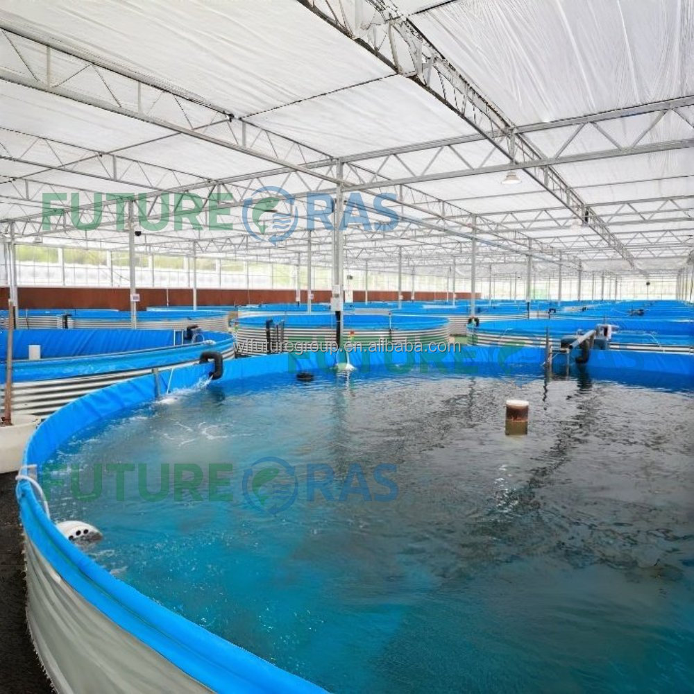 AIROW FUTURERAS 5*1.2m 상업용 PVC - Farm Pond Liner 리뷰 및 가격