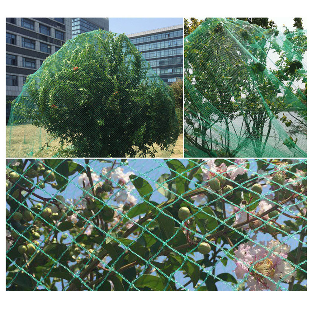 15M 안티 버드 네트 녹색 과일 채소 꽃 식물 보호망 - Agriculture Farming Vegetables 리뷰 및 가격