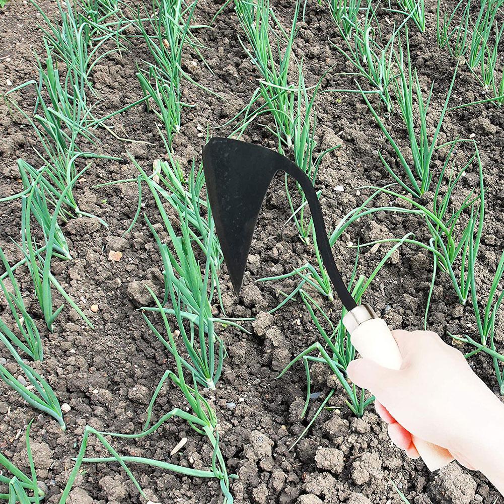 농기구 삼각형 줄괭이괭이 가정용 농업용 제초괭이 식물  - Agriculture Farming Vegetables 리뷰 및 가격