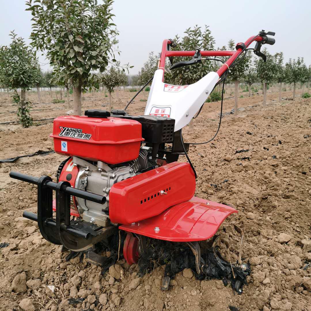 고성능 장수명 올기어 마이크로 경운기(농업용, 언덕 및 - Farming Agriculture Jobs 리뷰 및 가격